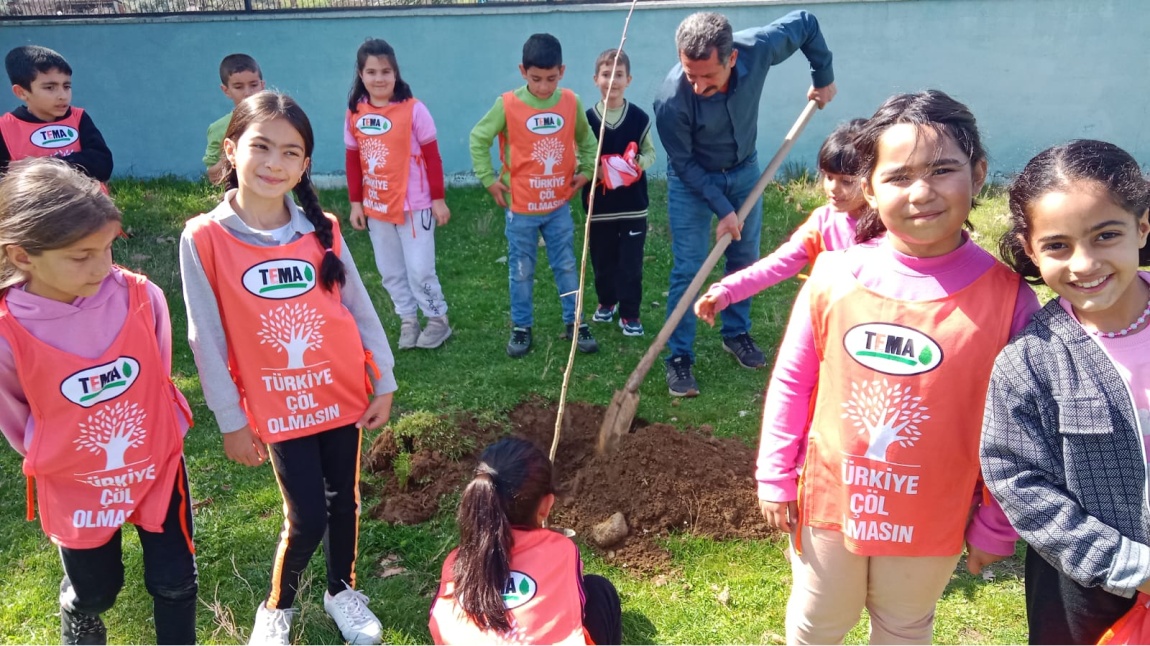 Öğrencilerimizle Okul bahçesine ağaç diktik